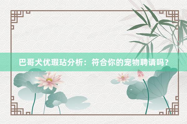 巴哥犬优瑕玷分析:符合你的宠物聘请吗?