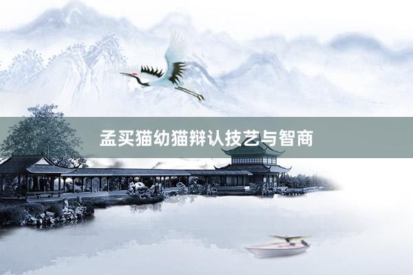 孟买猫幼猫辩认技艺与智商